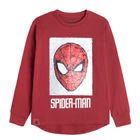 Cool Club, Bluzka chłopięca z długim rękawem, czerwona, Spider-Man