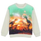 Cool Club, Bluzka chłopięca z długim rękawem, szara