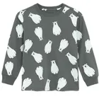 Cool Club, Bluzka chłopięca z długim rękawem, szara