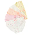 Cool Club, Majtki figi dziewczęce, mix, zestaw, 5 szt.