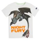 Cool Club, T-shirt chłopięcy, Jak wytresować smoka