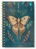 Cozywood, kołonotatnik ozdobny, B5, 160 kartek, kratka, Ćma