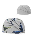 Czapka chłopięca, szara, dinozaury, Döll