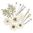 Dalprint, kwiaty papierowe, 12 szt.