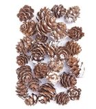 Dalprint, mini szyszki, bielone, 25g