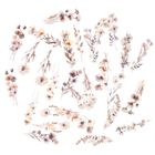Dalprint, naklejki pet kwiaty beige mist, 30 szt.