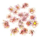 Dalprint, naklejki pet kwiaty pink blush, 20 szt.