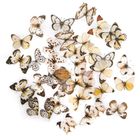 Dalprint, naklejki pet, motyle black&white, 40 szt.