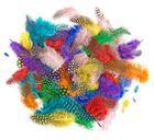 Dalprint, piórka bażanta, brights, 4-7 cm, 10g