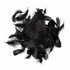 Dalprint, piórka, czarne, 5-12 cm, 10g