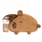 Dalprint, piórnik saszetka, pluszowy, Kapibara