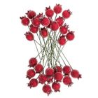 Dalprint, szronione czerwone jagody, 1,5 cm, 31szt