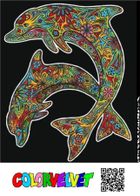 Delfiny. Kolorowanka welwetowa, 47-35 cm