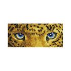 Diamond Dotz, diamentowa mozaika, Jaguar Spy