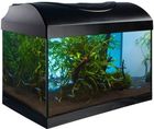 Diversa, Startup 40 LED Expert 6W, akwarium z wyposażeniem, 25l