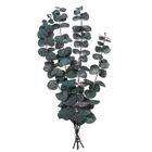 DP Craft, eukaliptus baby blue, zielony, 4 gałązki, 20 cm