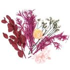 DP Craft, kwiaty suszone dekoracyjne, bordowy różowy