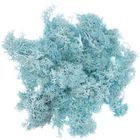 DP Craft, mech turkusowy, 30g