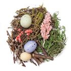 DP Craft, naturalne elementy, Wielkanoc, pastel, 30g