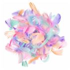 DP Craft, piórka macaron, 4-8 cm, 10g