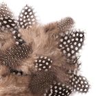 DP Craft, piórka przepiórcze, 5-12 cm, 5g