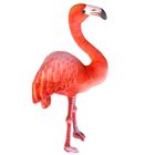 Dubi, flaming, duża maskotka, 55 cm