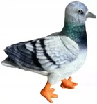 Dubi, Gołąb niebieski, maskotka, 30 cm