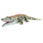 Dubi, Krokodyl szary, maskotka, 90 cm