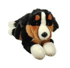 Dubi, Pies Berneński, maskotka, 30 cm