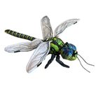 Dubi, Ważka, maskotka, 40 cm