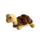 Dubi, Żółw lądowy brązowy, maskotka, 20 cm