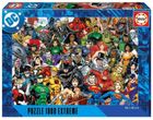 Educa, Postacie z uniwersum DC Comics, puzzle, 1000 elementów