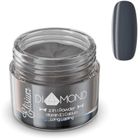 Elisium, Diamond 2in1 Powder, proszek do manicure tytanowego, DS308 Black Friday, 23g
