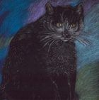 Emg, notes, kot pastelowy, 1 szt.