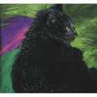 Emg, notes, kot zielony, 1 szt.