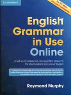 English Grammar in Use Online