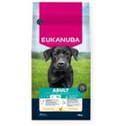 Eukanuba, Adult Large rich in chicken karma sucha dla psa, 15 kg