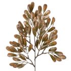 Eurofirany, gałązka świąteczna dekoracyjna, brązowy, 17-52 cm