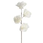 Eurofirany, kwiat flore, 10-70 cm, biały