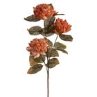 Eurofirany, kwiat flore, 12-67 cm, jasnobrązowy