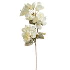 Eurofirany, kwiat flore, 17-70 cm, kremowy