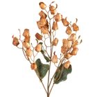 Eurofirany, kwiat flore, 2-75 cm, jasnobrązowy