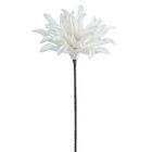 Eurofirany, kwiat flore, 25-60 cm, biały