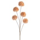 Eurofirany, kwiat flore, 8-80 cm, jasnobrązowy