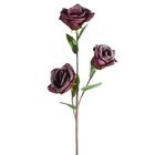 Eurofirany, kwiat flore, o 10-50 cm, ciemnofioletowy