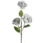 Eurofirany, kwiat flore, o 10-50 cm, popielaty