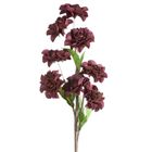 Eurofirany, kwiat flore, o 20-65 cm, ciemnofioletowy