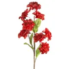 Eurofirany, kwiat flore, o 20-65 cm, czerwony