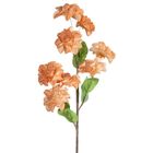 Eurofirany, kwiat flore, o 20-65 cm, jasnobrązowy