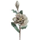 Eurofirany, kwiat flore, o 20-70 cm, ciemnobeżowy